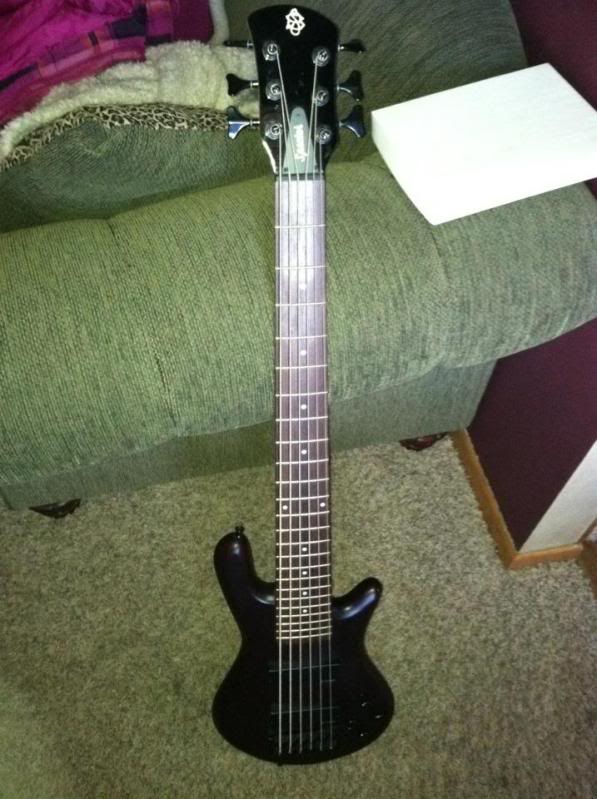 spector62.jpg