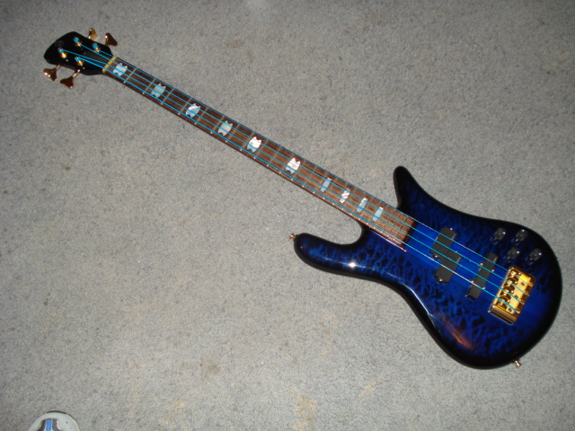 spector8.jpg
