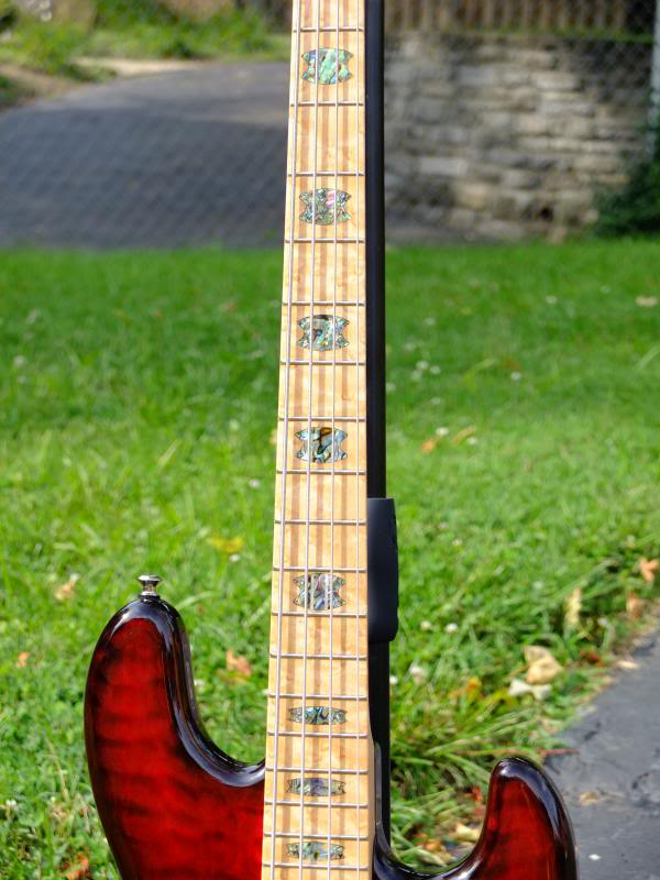 SpectorCoda003.jpg