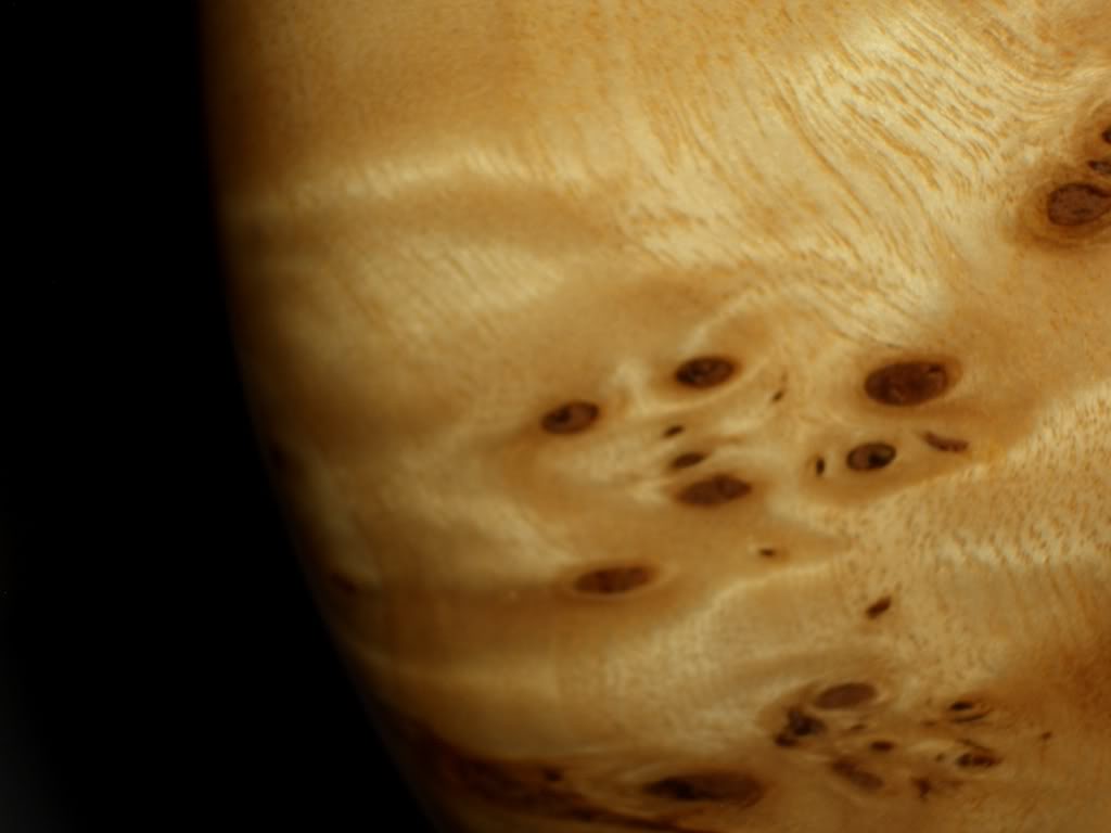 SpectorEuro4LXfaces.jpg
