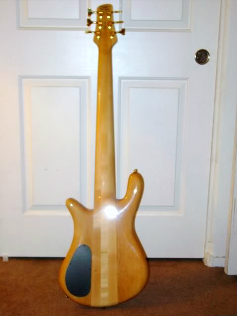 SpectorEuro6LX5.jpg