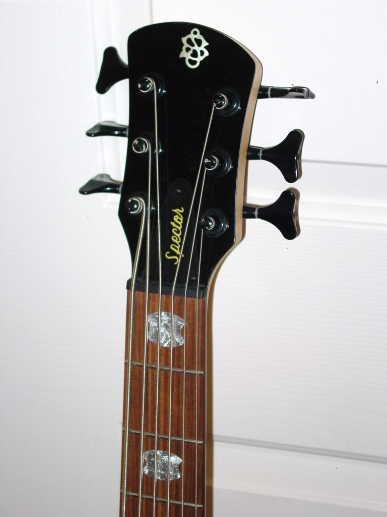 SpectorLegend62.jpg