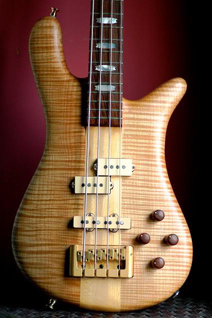 SpectorNS-4-page.jpg