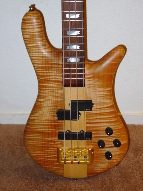 SpectorNS2CR2.jpg