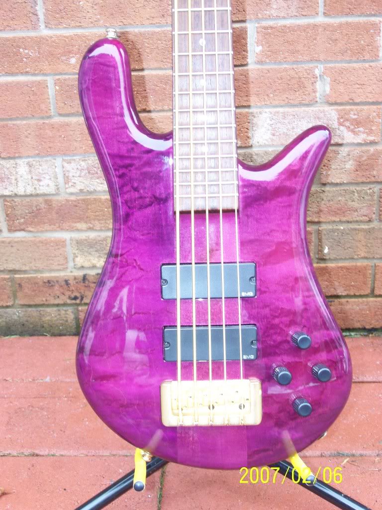 SpectorPurpleNSCRFM5FRCL.jpg