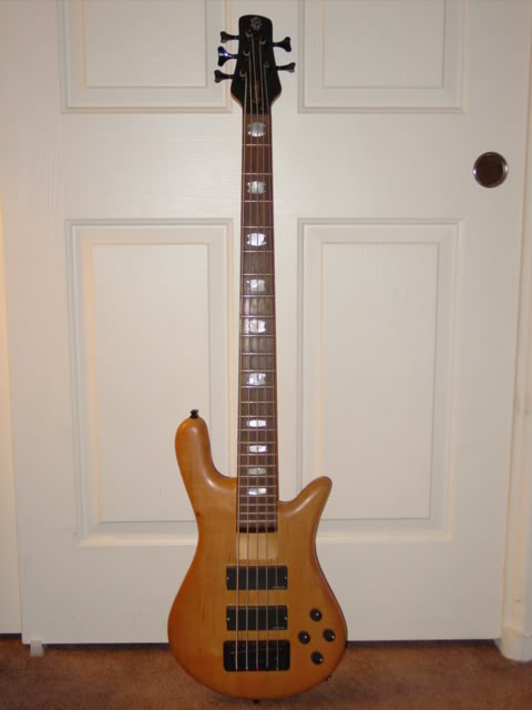 SpectorRebopDLX59.jpg