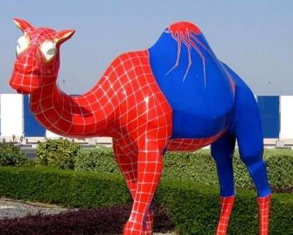 spider_caml.jpg