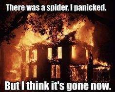 spiderfire.jpg