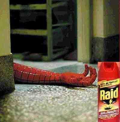 spiderman.jpg