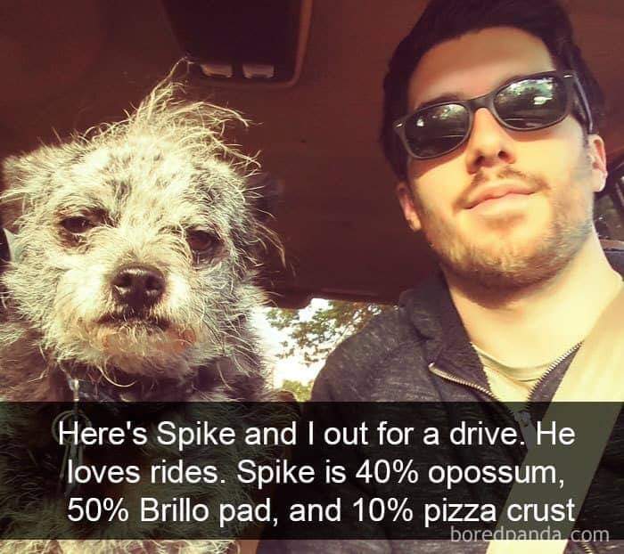 Spike.jpg