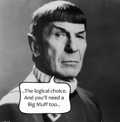 spock.jpg