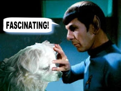 spock_mind-meld-icy.jpg