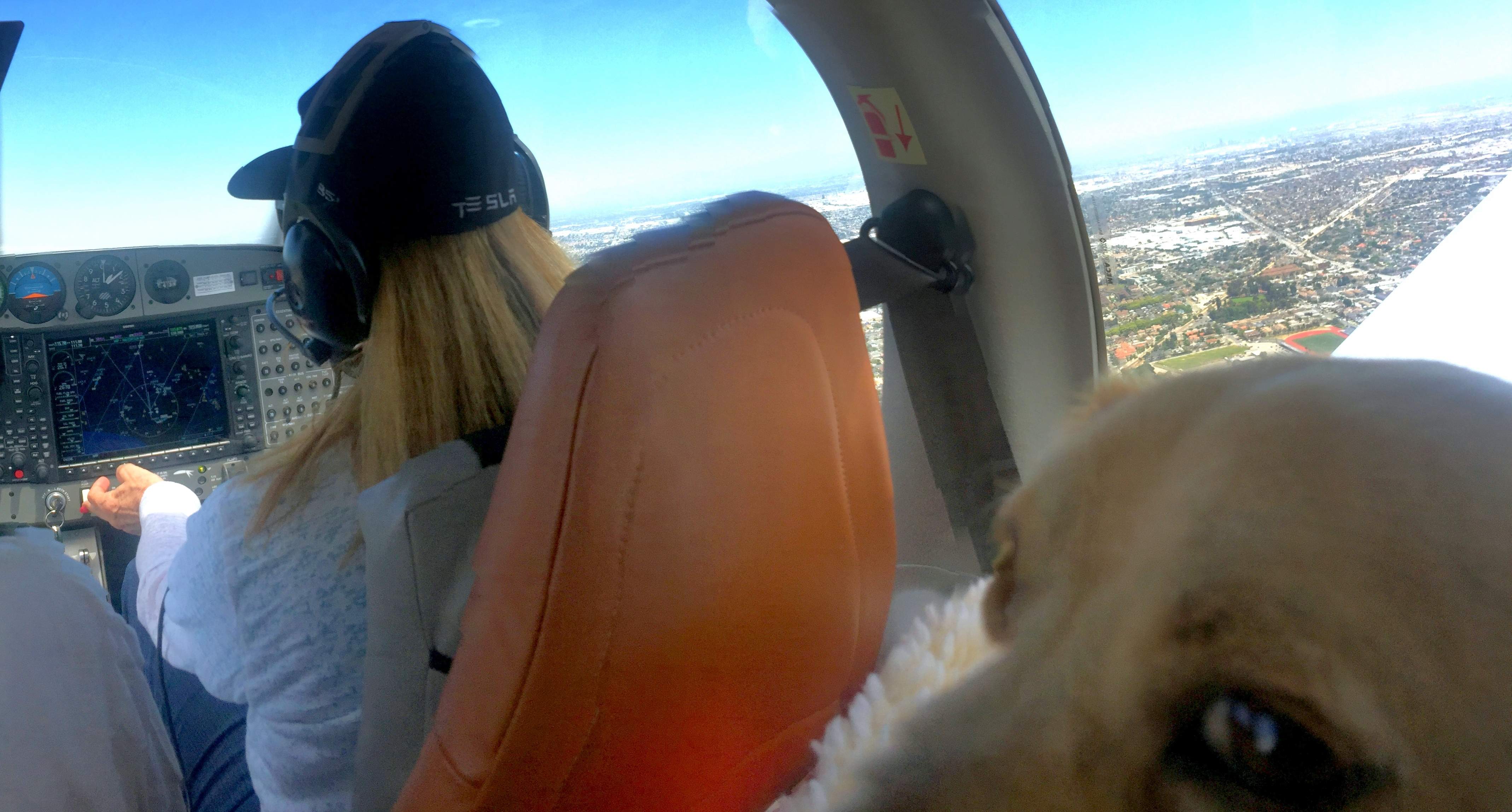 Spoiled Dog in flight.jpg