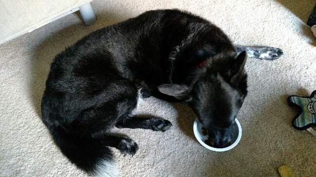 spoiled.jpg