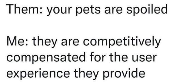 spoiled pets.jpg
