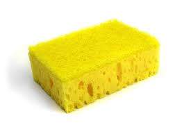 Sponge.jpg