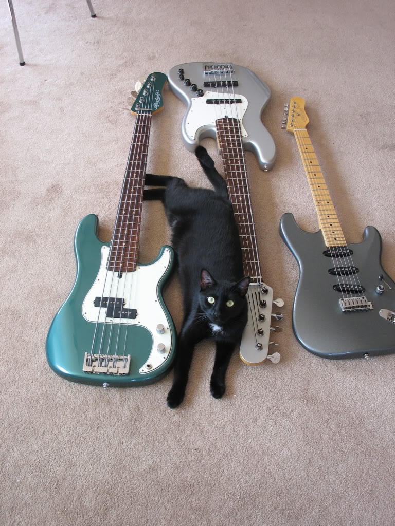 squeekAC4.jpg