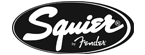 squier-243c0bc5af9dd4251e6f7f8e663d02b0.png