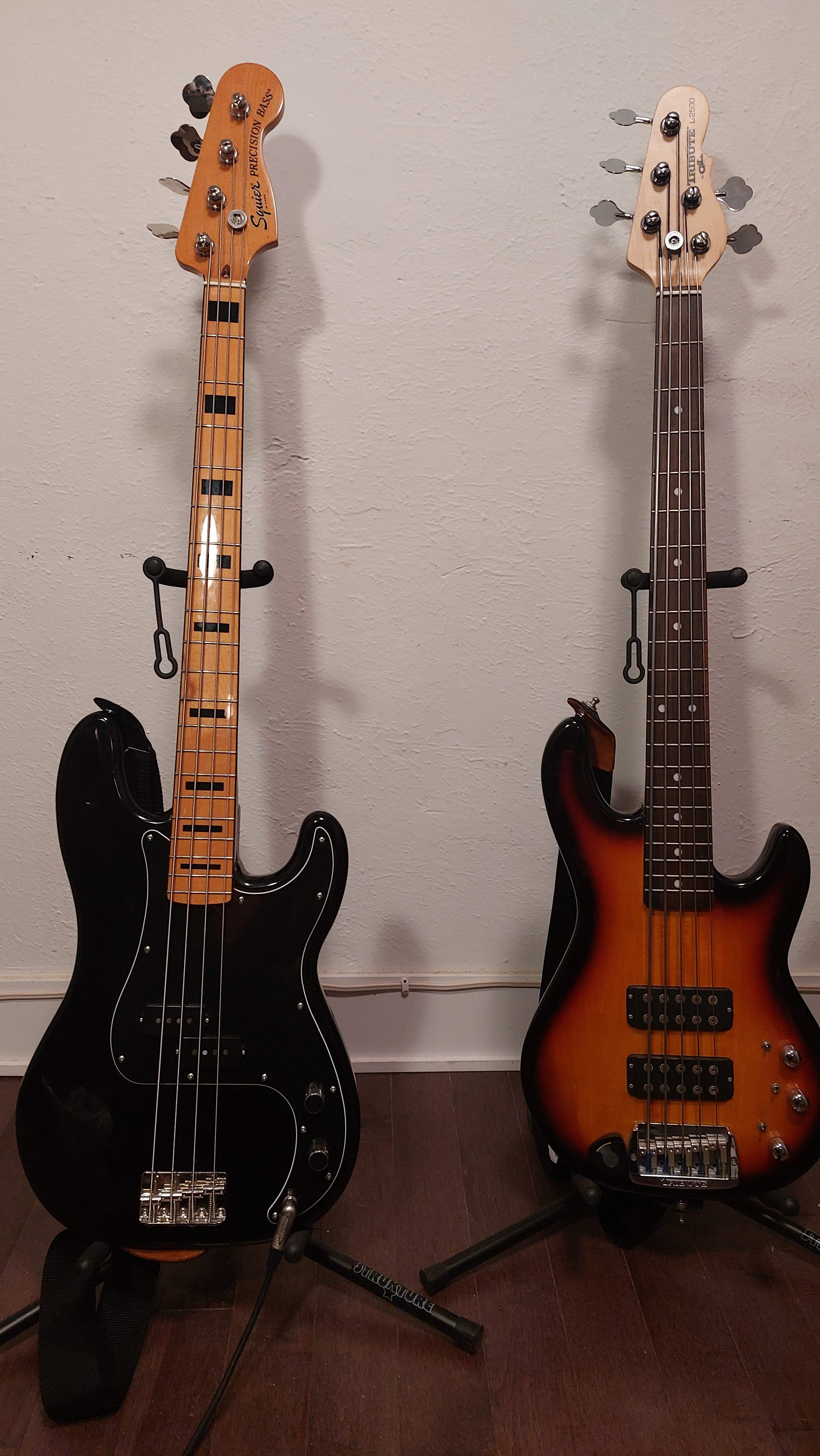 Squier CV.jpg