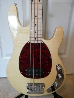 Squier-OLP001.jpg