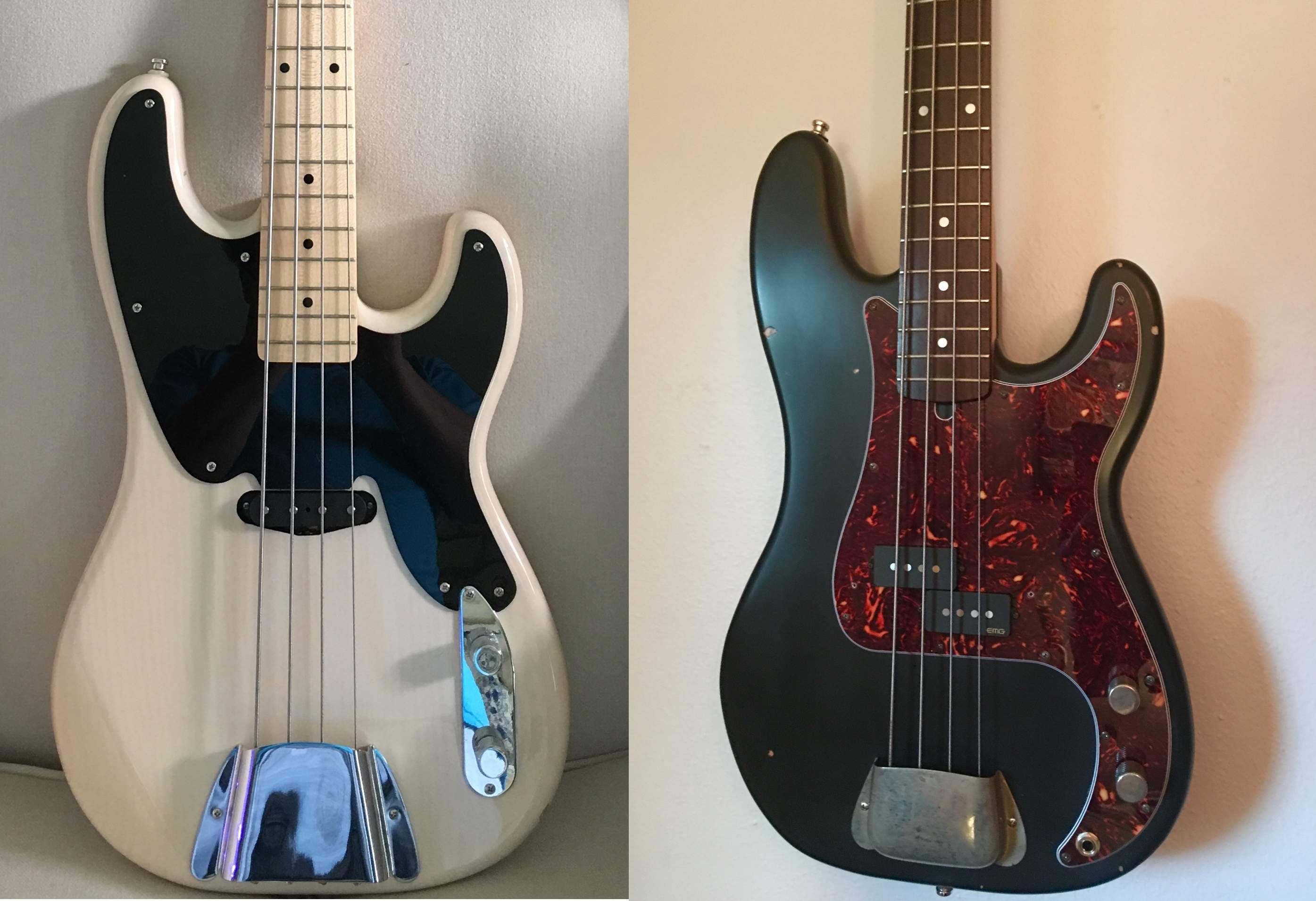 Squier P basses.jpg