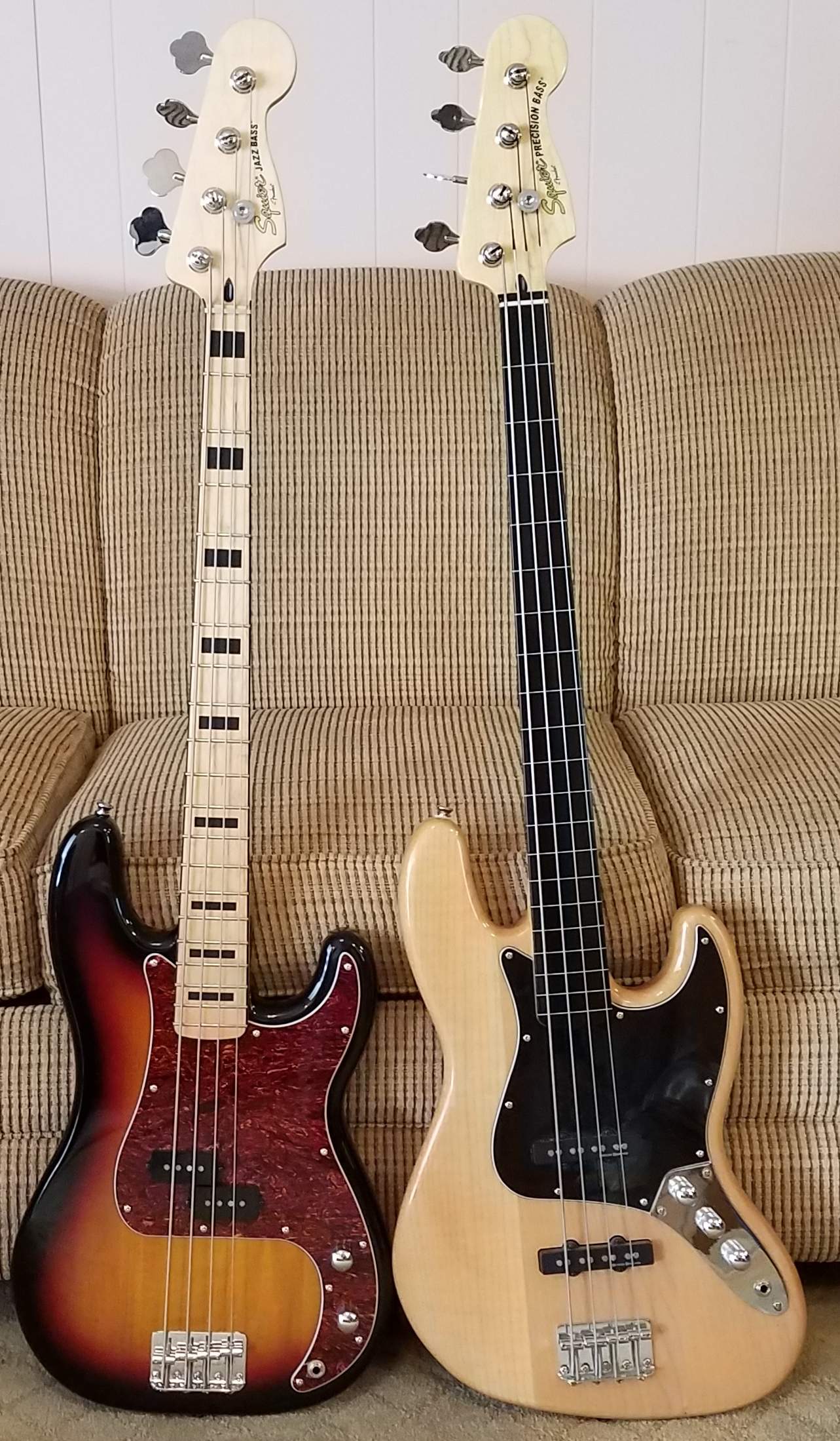 Squier Transplant After.jpg