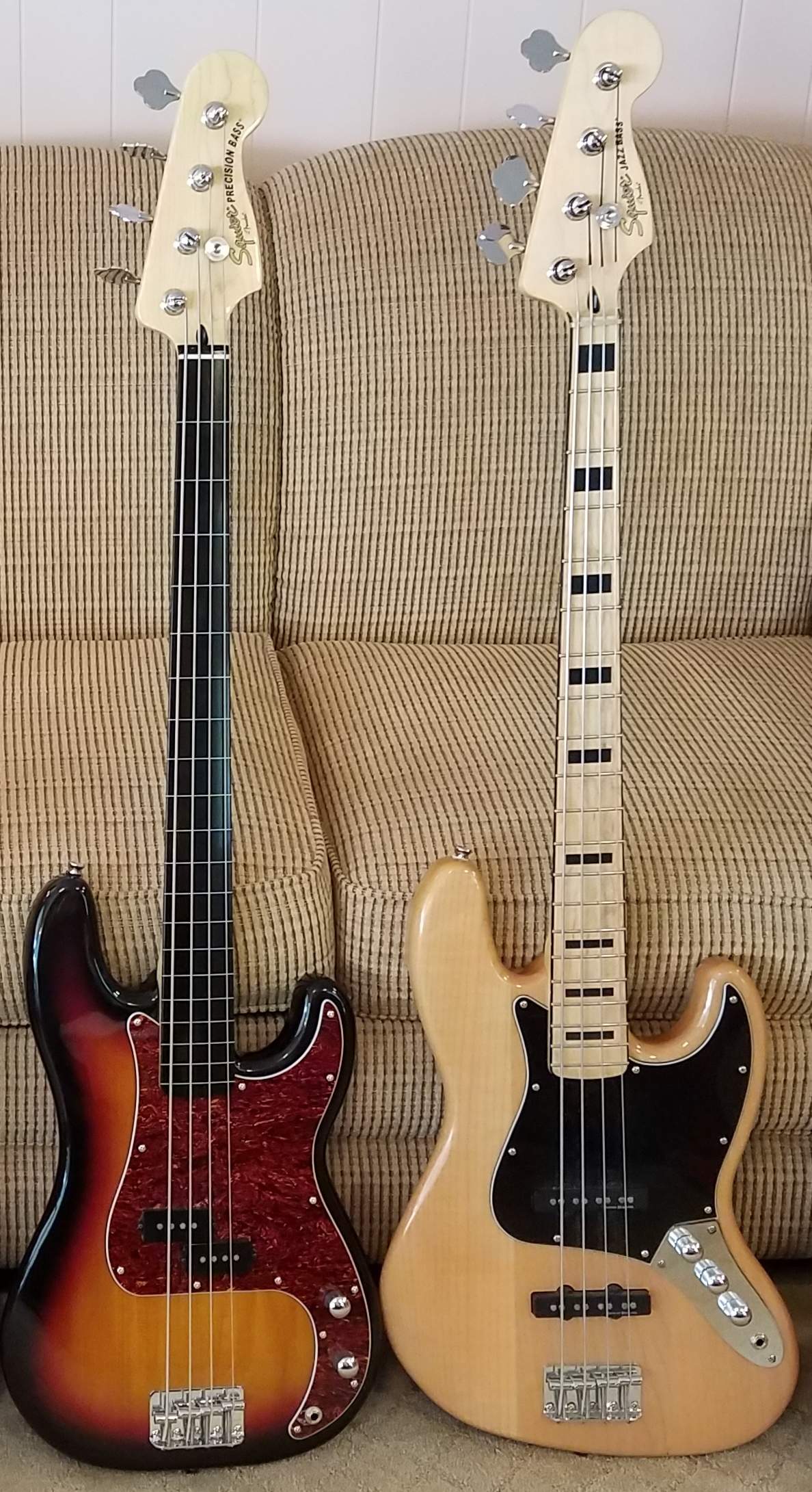 Squier Transplant Before.jpg