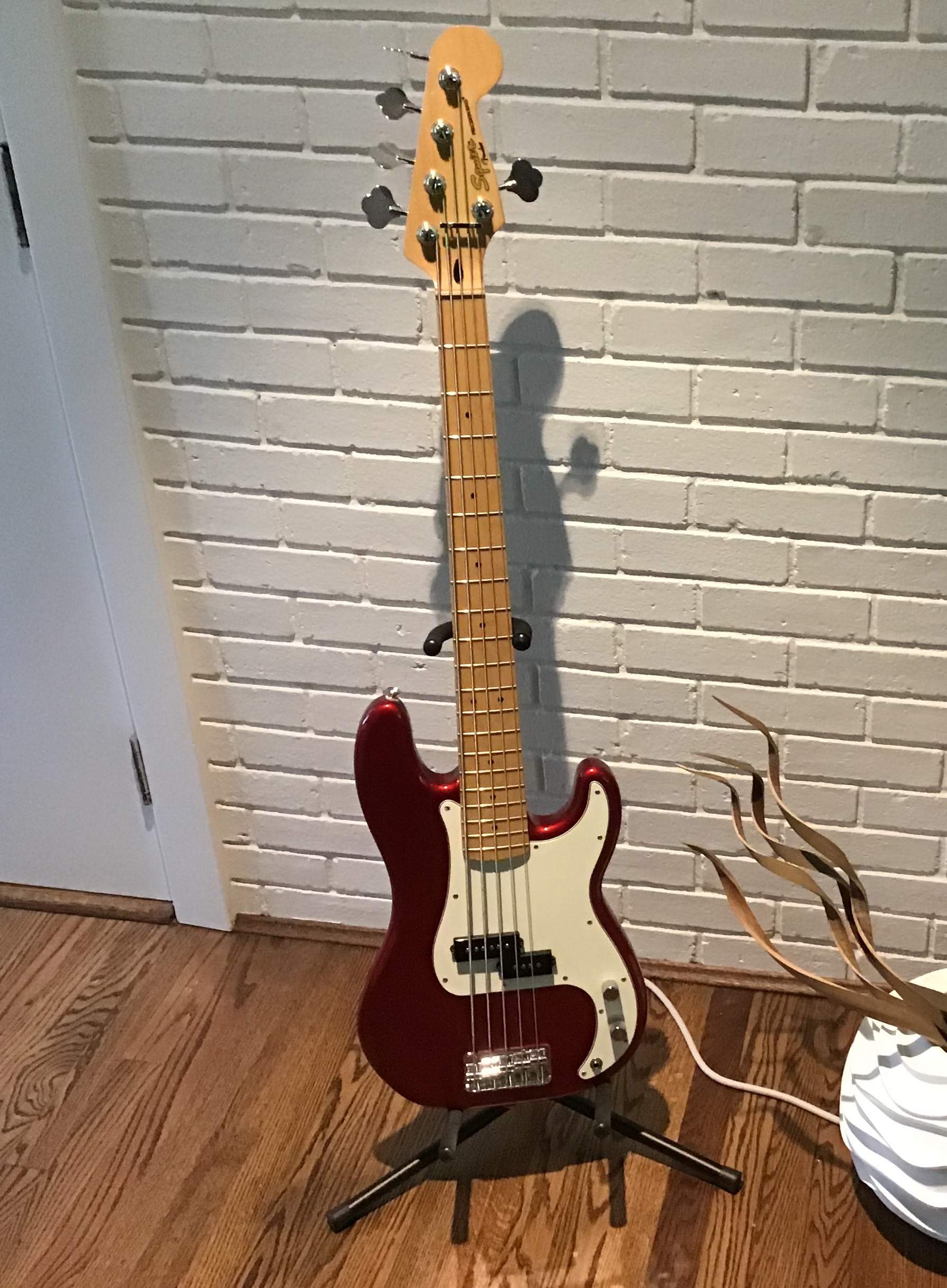 Squier V.jpg