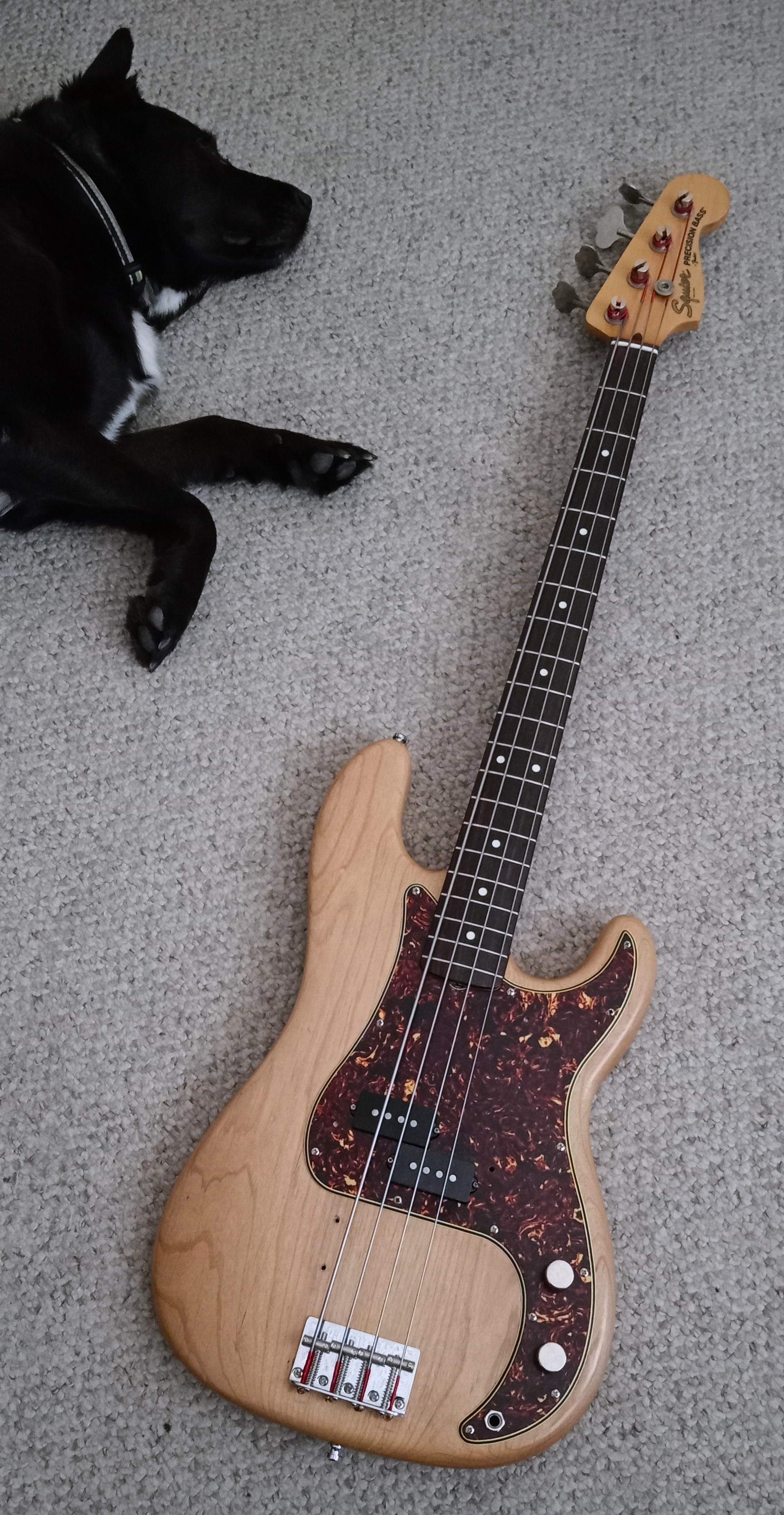 Squier-Warmoth P-Bass.jpg