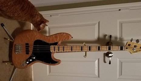 Squier1.jpg