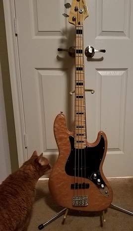 Squier1.jpg