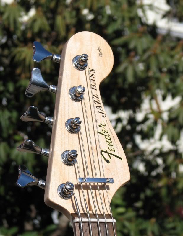 Squier5head.jpg