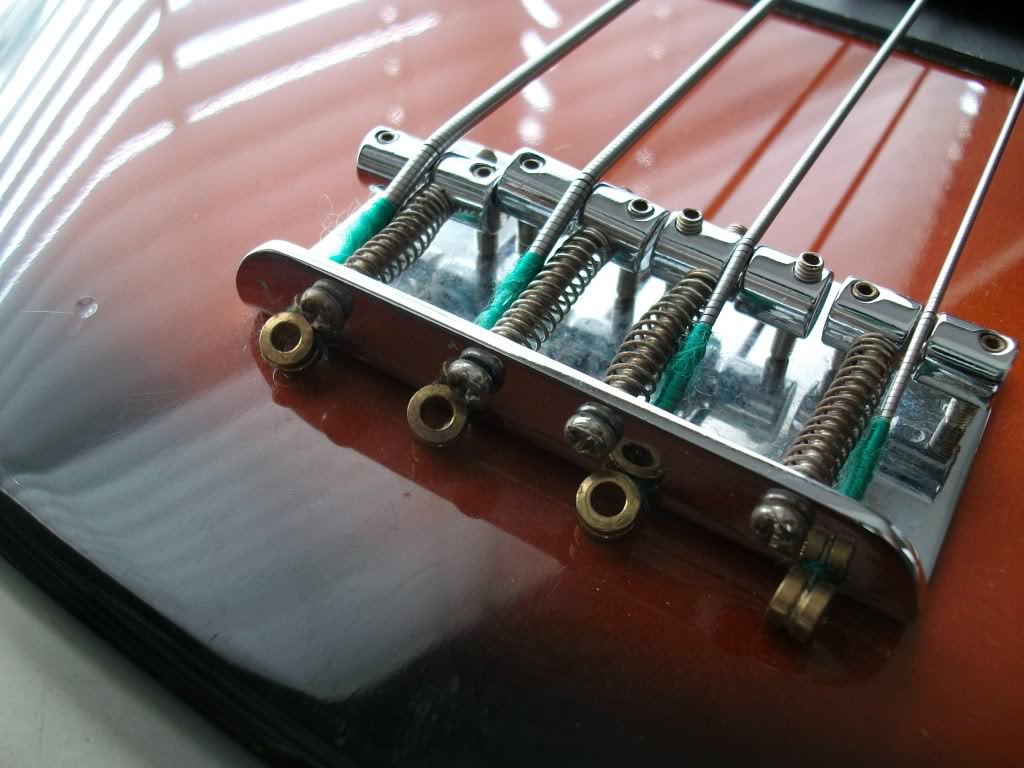 squier_bottom.jpg