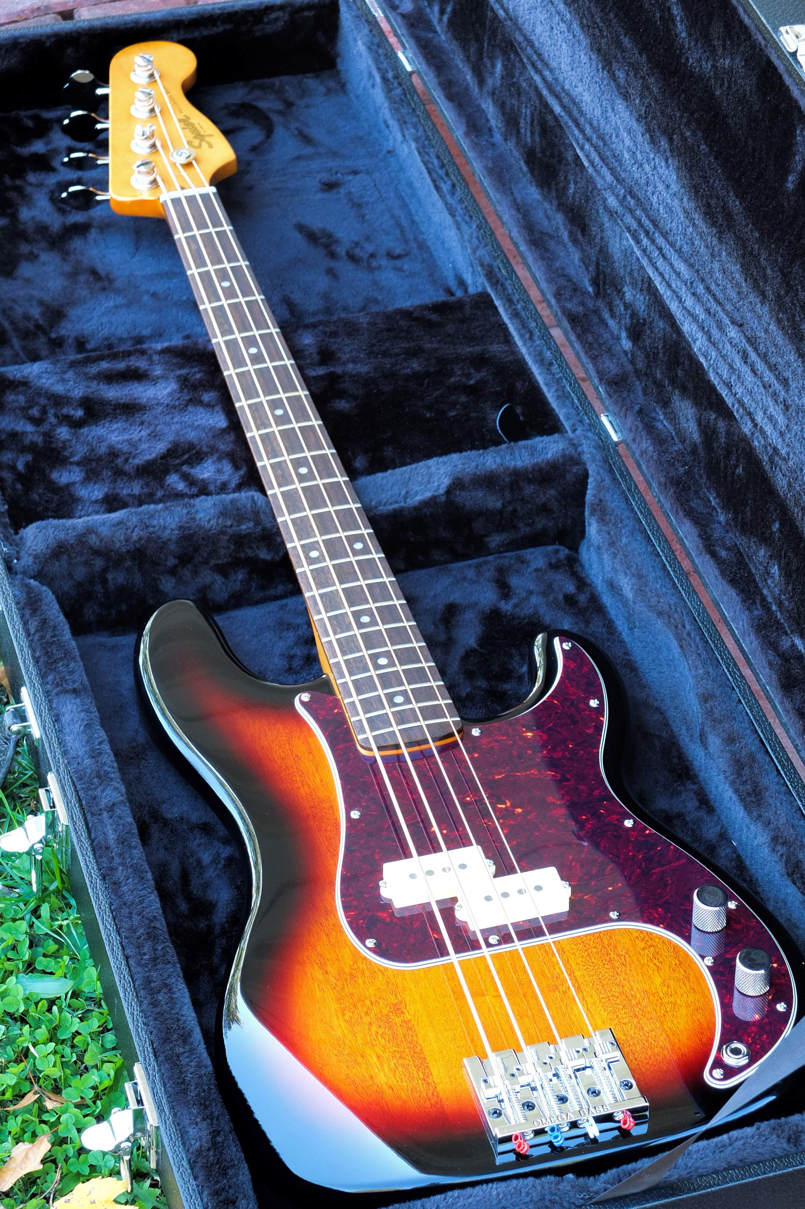 squire 1.jpg