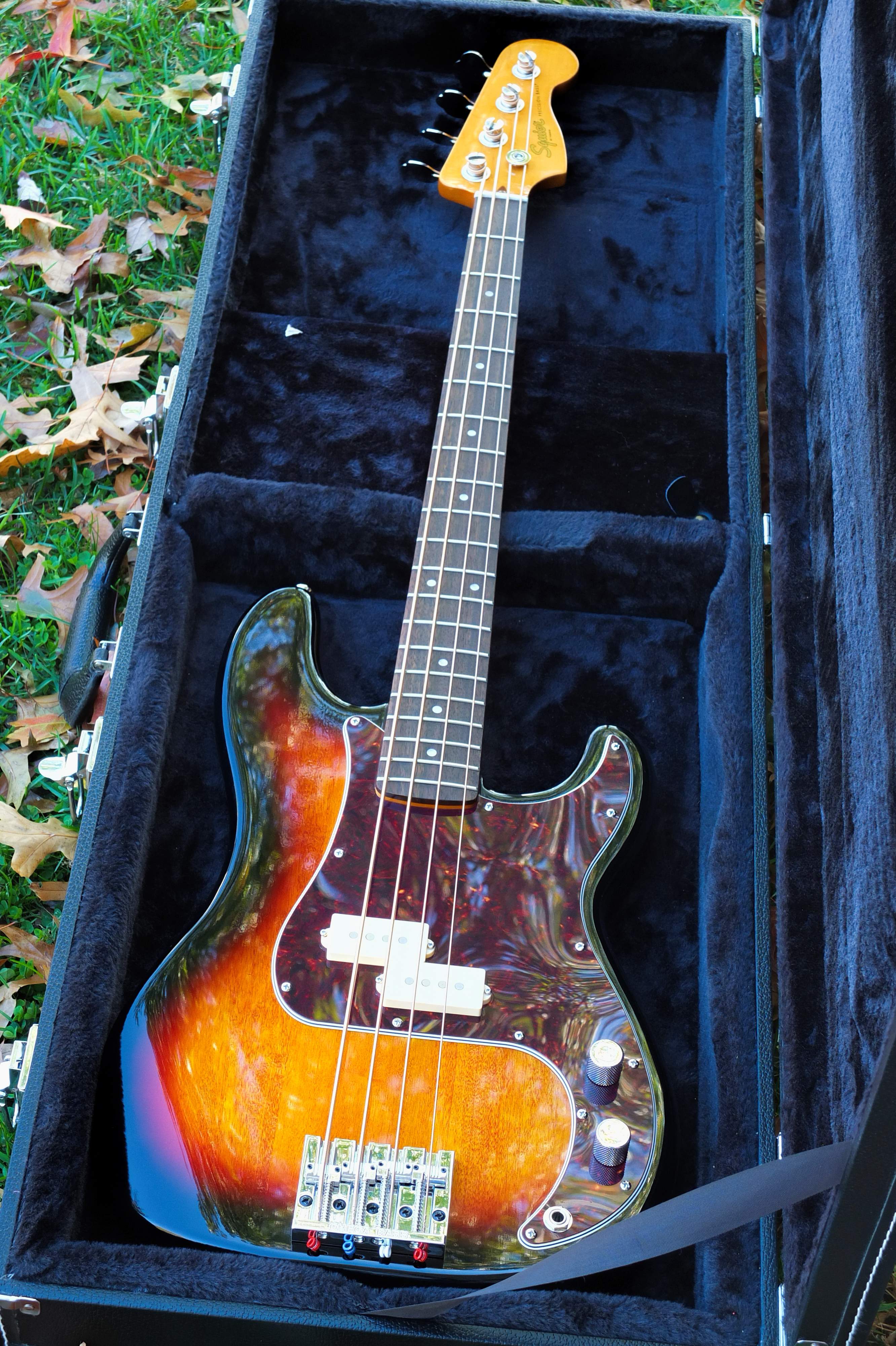 squire 4.jpg
