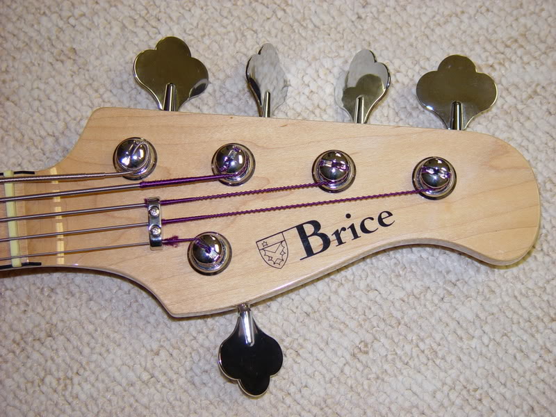 SquireJacoBrice5Stringjazz011.jpg