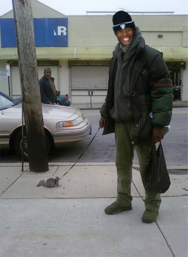 squirle.jpg