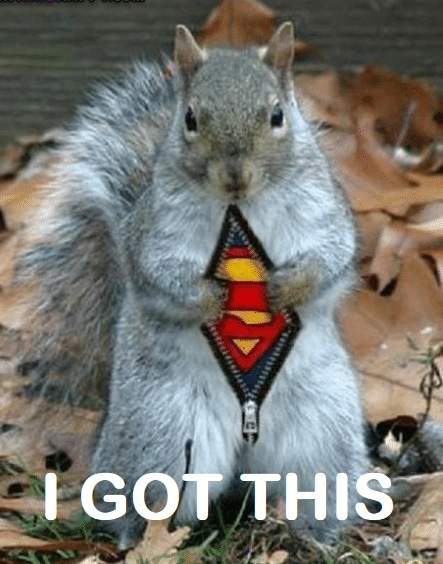 squirrel-53735905.jpg