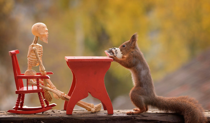 Squirrels-celebrating-Halloween-59e49fafd41ca__880.jpg