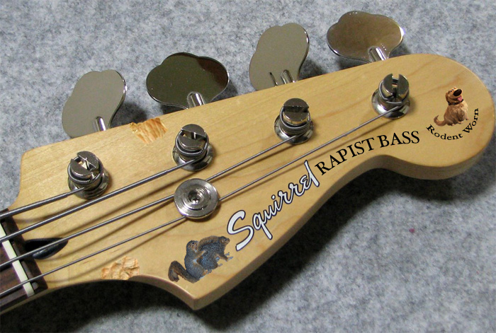squirrelstock.jpg