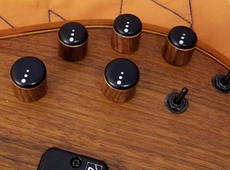 SR1206Knobs.jpg