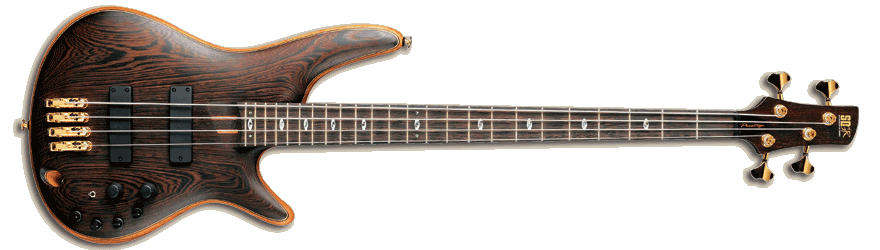 SR5000EOL.gif