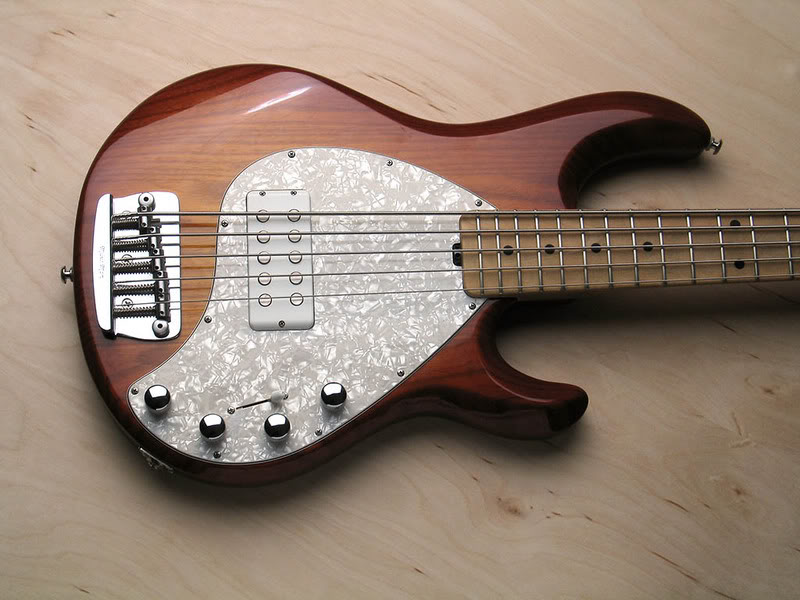 SR5_BODY.jpg