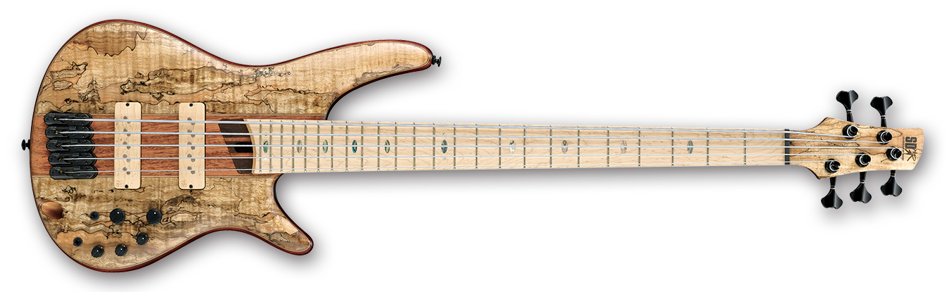 SR5SMLTD_NTF_1P_01.png