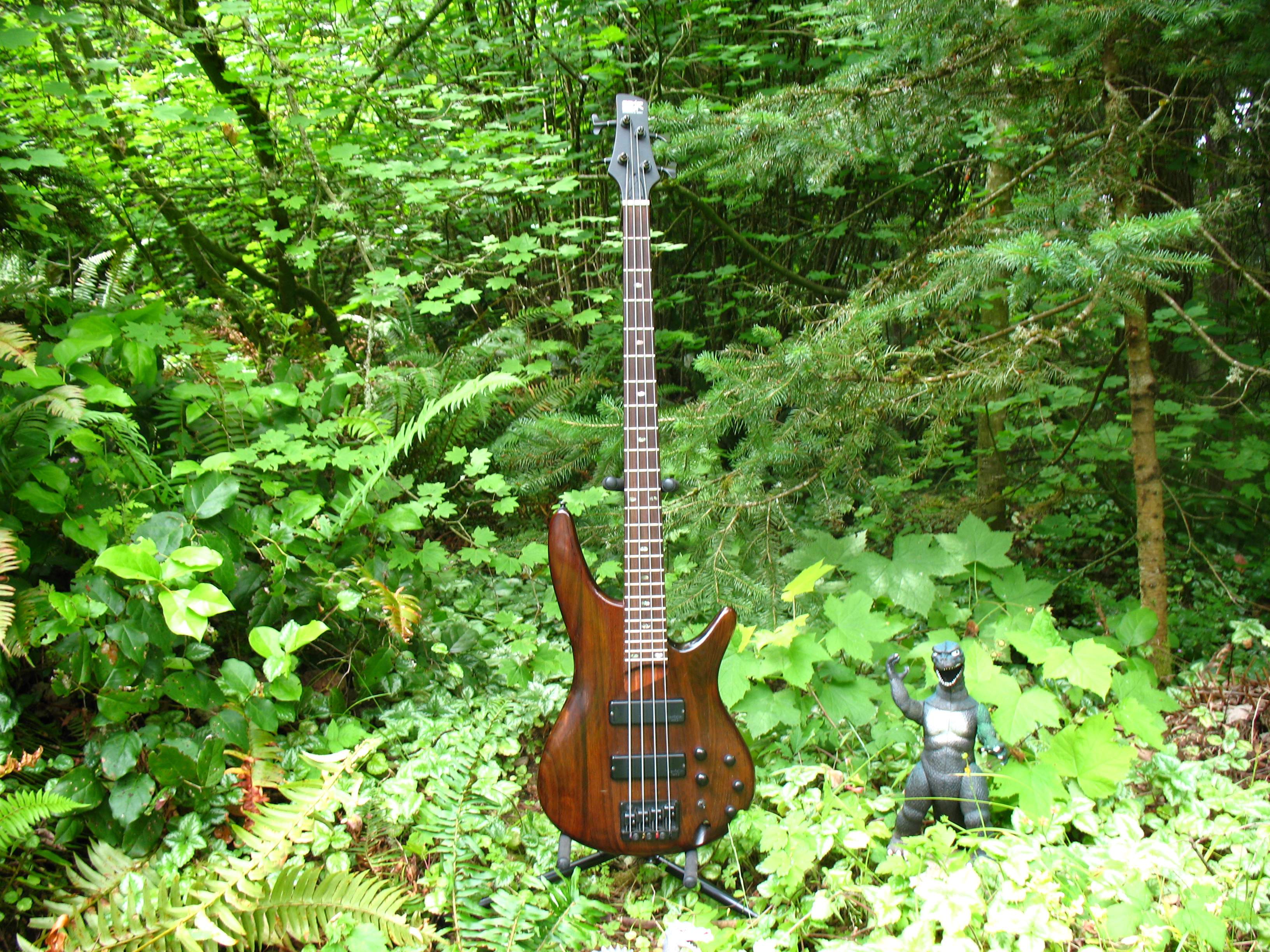 SR600_1.JPG