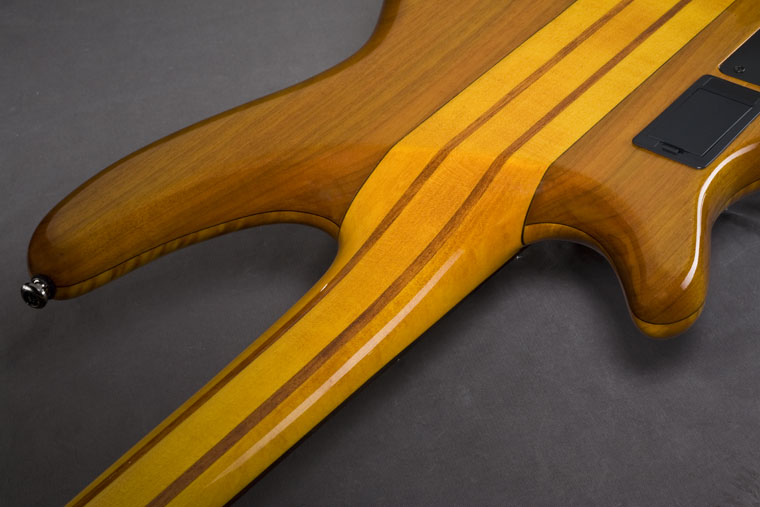 SRT800DXAM_thru-neck.jpg