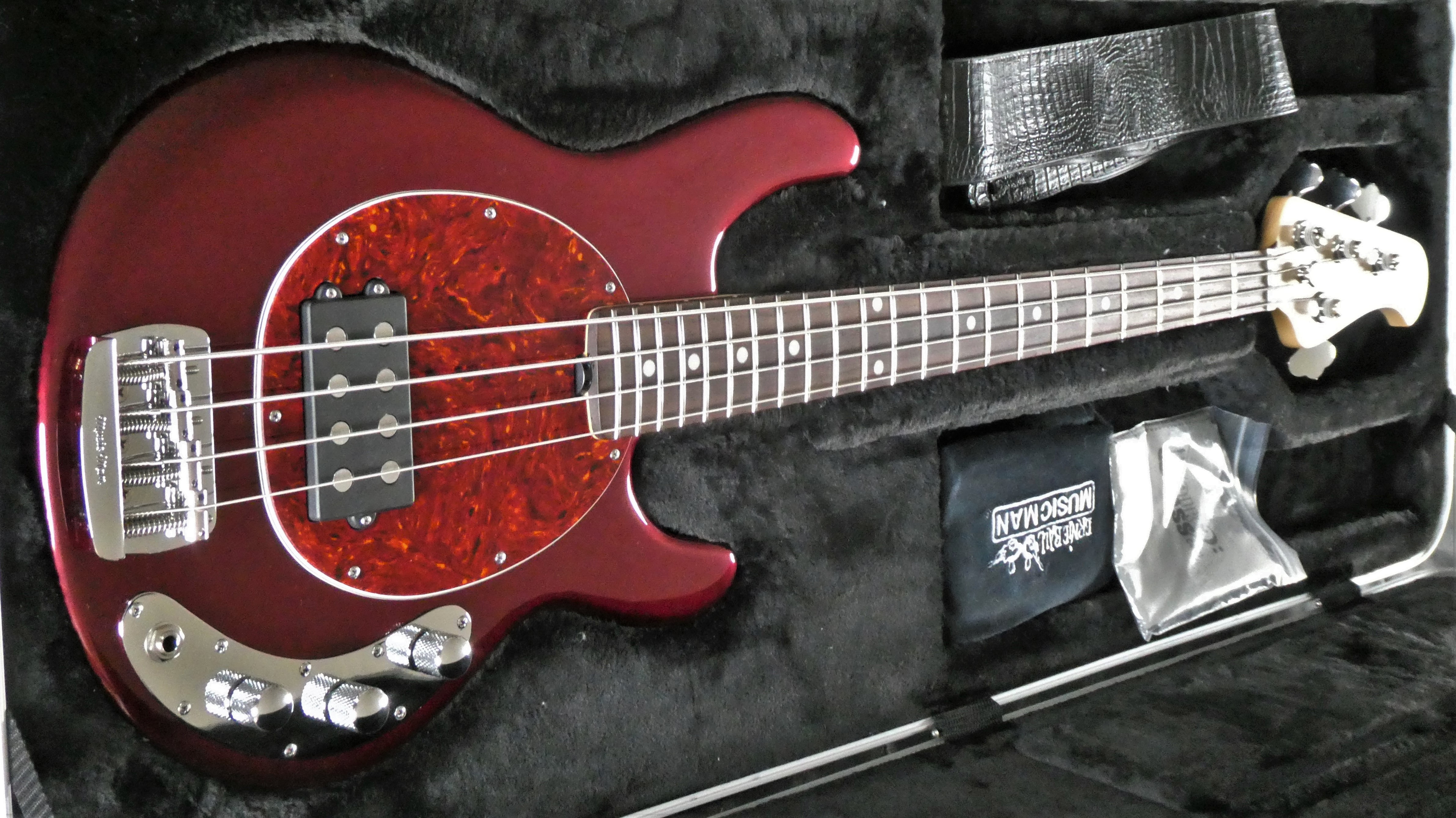 SS Stingray TPG (1).JPG