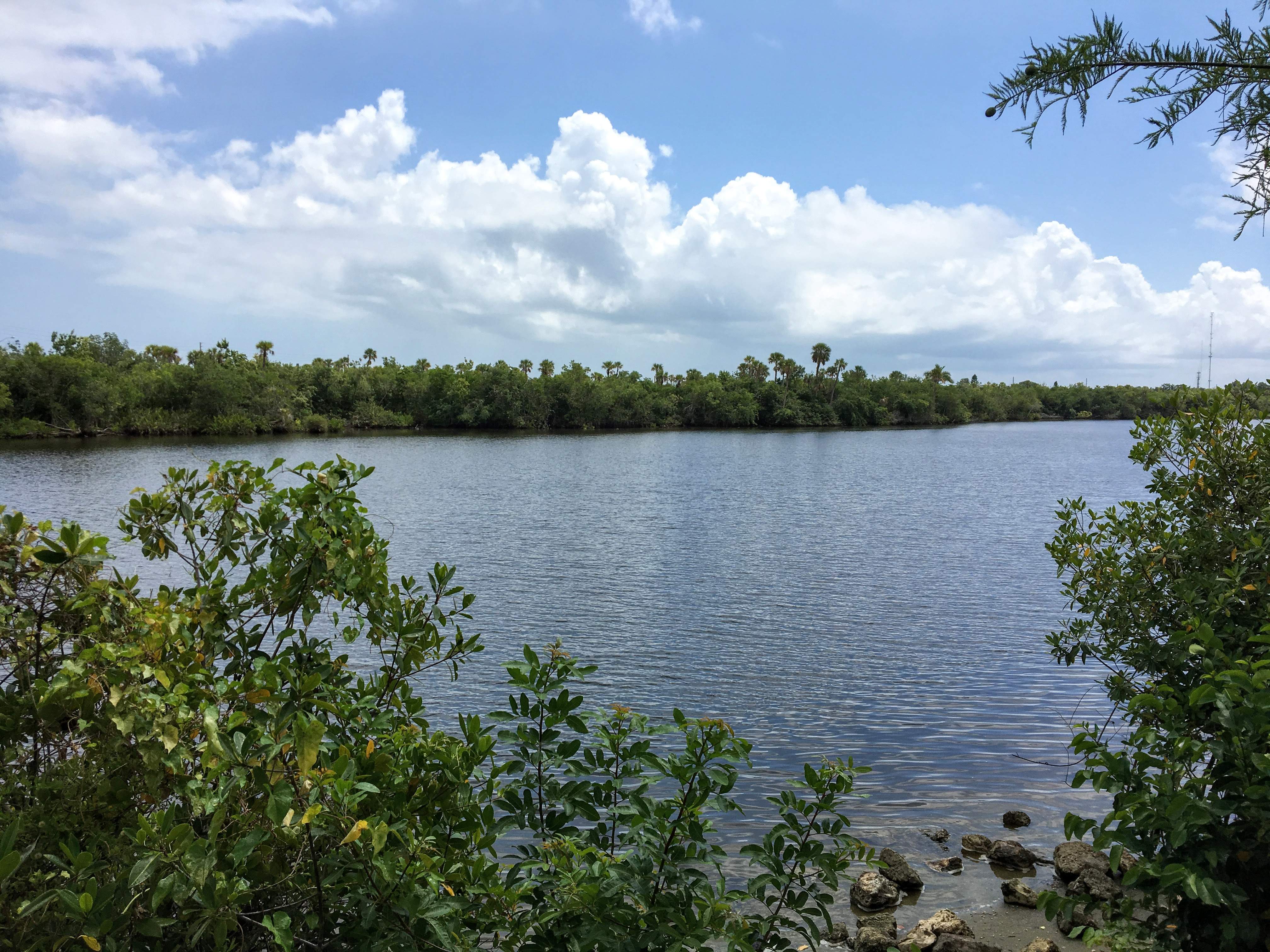 St Lucie River 01.JPG
