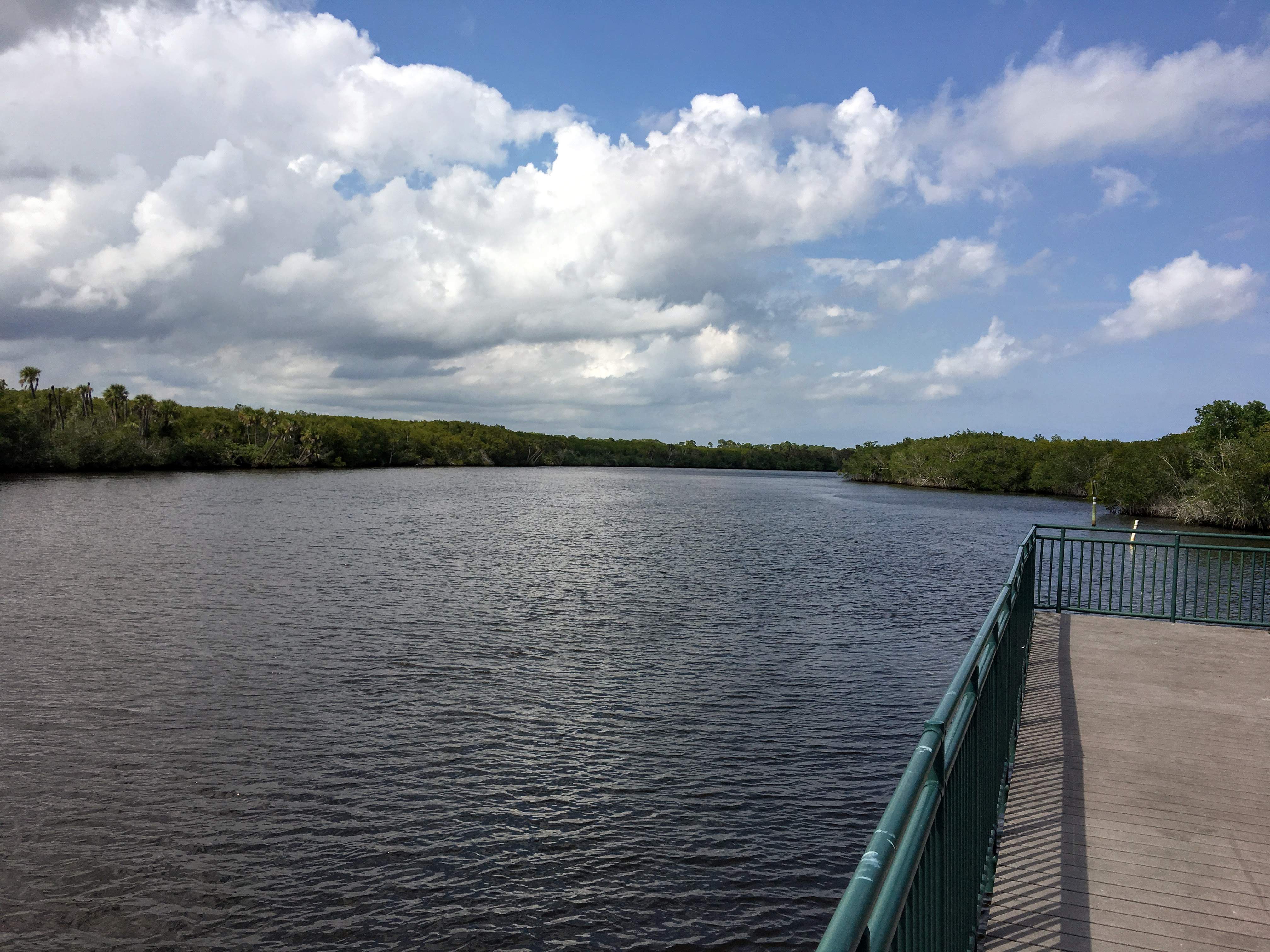 ST Lucie River 02.JPG