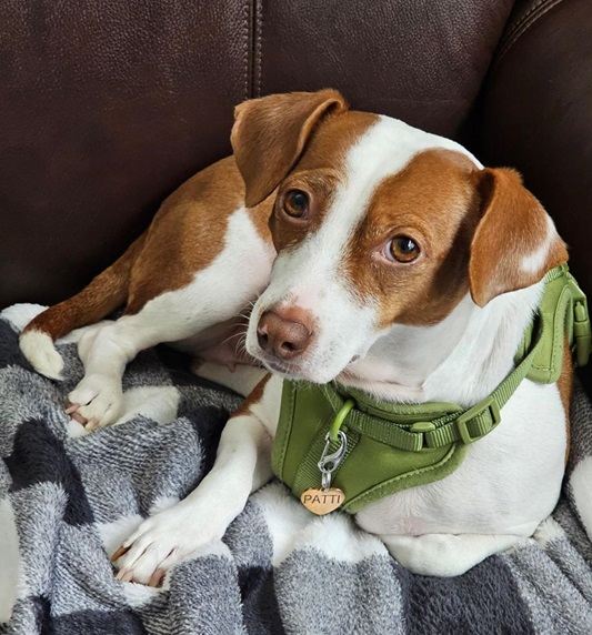 St Patti 3 24.jpg